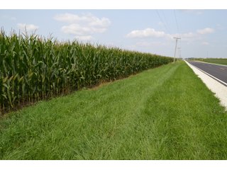 Property photo 8 - LAND AUCTION - 1103.8+/- ACRES OFFERED IN 14 TRACTS OR ANY COMBINATION IN KANKAKEE, FORD, & IROQUOIS COUNTIES, ILLINOIS (TRACTS RANGING FROM 40-167.9+/- ACRES)