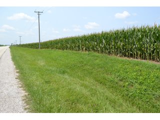 Property photo 9 - LAND AUCTION - 1103.8+/- ACRES OFFERED IN 14 TRACTS OR ANY COMBINATION IN KANKAKEE, FORD, & IROQUOIS COUNTIES, ILLINOIS (TRACTS RANGING FROM 40-167.9+/- ACRES)