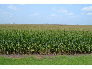 Property photo 10 - LAND AUCTION - 1103.8+/- ACRES OFFERED IN 14 TRACTS OR ANY COMBINATION IN KANKAKEE, FORD, & IROQUOIS COUNTIES, ILLINOIS (TRACTS RANGING FROM 40-167.9+/- ACRES)