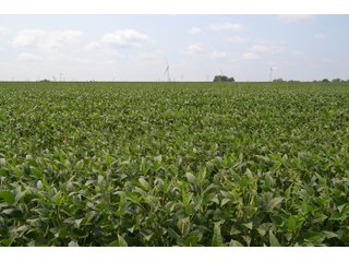 Property photo 38 - LAND AUCTION - 1103.8+/- ACRES OFFERED IN 14 TRACTS OR ANY COMBINATION IN KANKAKEE, FORD, & IROQUOIS COUNTIES, ILLINOIS (TRACTS RANGING FROM 40-167.9+/- ACRES)