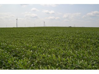 Property photo 39 - LAND AUCTION - 1103.8+/- ACRES OFFERED IN 14 TRACTS OR ANY COMBINATION IN KANKAKEE, FORD, & IROQUOIS COUNTIES, ILLINOIS (TRACTS RANGING FROM 40-167.9+/- ACRES)
