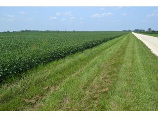 Property photo 40 - LAND AUCTION - 1103.8+/- ACRES OFFERED IN 14 TRACTS OR ANY COMBINATION IN KANKAKEE, FORD, & IROQUOIS COUNTIES, ILLINOIS (TRACTS RANGING FROM 40-167.9+/- ACRES)