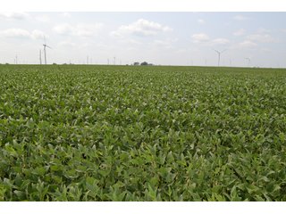 Property photo 41 - LAND AUCTION - 1103.8+/- ACRES OFFERED IN 14 TRACTS OR ANY COMBINATION IN KANKAKEE, FORD, & IROQUOIS COUNTIES, ILLINOIS (TRACTS RANGING FROM 40-167.9+/- ACRES)