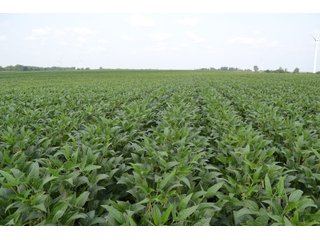 Property photo 42 - LAND AUCTION - 1103.8+/- ACRES OFFERED IN 14 TRACTS OR ANY COMBINATION IN KANKAKEE, FORD, & IROQUOIS COUNTIES, ILLINOIS (TRACTS RANGING FROM 40-167.9+/- ACRES)
