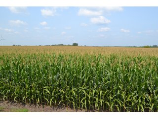 Property photo 49 - LAND AUCTION - 1103.8+/- ACRES OFFERED IN 14 TRACTS OR ANY COMBINATION IN KANKAKEE, FORD, & IROQUOIS COUNTIES, ILLINOIS (TRACTS RANGING FROM 40-167.9+/- ACRES)