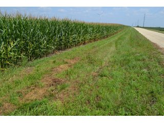 Property photo 52 - LAND AUCTION - 1103.8+/- ACRES OFFERED IN 14 TRACTS OR ANY COMBINATION IN KANKAKEE, FORD, & IROQUOIS COUNTIES, ILLINOIS (TRACTS RANGING FROM 40-167.9+/- ACRES)