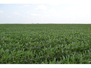 Property photo 57 - LAND AUCTION - 1103.8+/- ACRES OFFERED IN 14 TRACTS OR ANY COMBINATION IN KANKAKEE, FORD, & IROQUOIS COUNTIES, ILLINOIS (TRACTS RANGING FROM 40-167.9+/- ACRES)