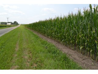 Property photo 73 - LAND AUCTION - 1103.8+/- ACRES OFFERED IN 14 TRACTS OR ANY COMBINATION IN KANKAKEE, FORD, & IROQUOIS COUNTIES, ILLINOIS (TRACTS RANGING FROM 40-167.9+/- ACRES)