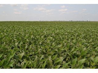 Property photo 60 - LAND AUCTION - 1103.8+/- ACRES OFFERED IN 14 TRACTS OR ANY COMBINATION IN KANKAKEE, FORD, & IROQUOIS COUNTIES, ILLINOIS (TRACTS RANGING FROM 40-167.9+/- ACRES)