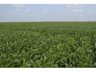 Property photo 62 - LAND AUCTION - 1103.8+/- ACRES OFFERED IN 14 TRACTS OR ANY COMBINATION IN KANKAKEE, FORD, & IROQUOIS COUNTIES, ILLINOIS (TRACTS RANGING FROM 40-167.9+/- ACRES)