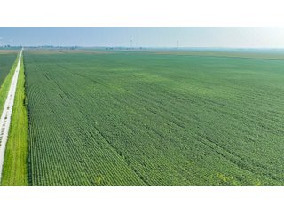 Property photo 56 - LAND AUCTION - 1103.8+/- ACRES OFFERED IN 14 TRACTS OR ANY COMBINATION IN KANKAKEE, FORD, & IROQUOIS COUNTIES, ILLINOIS (TRACTS RANGING FROM 40-167.9+/- ACRES)