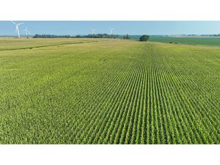 Property photo 46 - LAND AUCTION - 1103.8+/- ACRES OFFERED IN 14 TRACTS OR ANY COMBINATION IN KANKAKEE, FORD, & IROQUOIS COUNTIES, ILLINOIS (TRACTS RANGING FROM 40-167.9+/- ACRES)