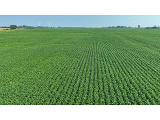Property photo 35 - LAND AUCTION - 1103.8+/- ACRES OFFERED IN 14 TRACTS OR ANY COMBINATION IN KANKAKEE, FORD, & IROQUOIS COUNTIES, ILLINOIS (TRACTS RANGING FROM 40-167.9+/- ACRES)