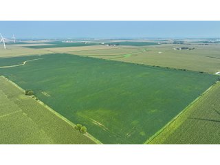 Property photo 12 - LAND AUCTION - 1103.8+/- ACRES OFFERED IN 14 TRACTS OR ANY COMBINATION IN KANKAKEE, FORD, & IROQUOIS COUNTIES, ILLINOIS (TRACTS RANGING FROM 40-167.9+/- ACRES)