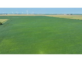 Property photo 13 - LAND AUCTION - 1103.8+/- ACRES OFFERED IN 14 TRACTS OR ANY COMBINATION IN KANKAKEE, FORD, & IROQUOIS COUNTIES, ILLINOIS (TRACTS RANGING FROM 40-167.9+/- ACRES)