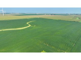 Property photo 14 - LAND AUCTION - 1103.8+/- ACRES OFFERED IN 14 TRACTS OR ANY COMBINATION IN KANKAKEE, FORD, & IROQUOIS COUNTIES, ILLINOIS (TRACTS RANGING FROM 40-167.9+/- ACRES)