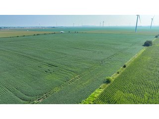 Property photo 15 - LAND AUCTION - 1103.8+/- ACRES OFFERED IN 14 TRACTS OR ANY COMBINATION IN KANKAKEE, FORD, & IROQUOIS COUNTIES, ILLINOIS (TRACTS RANGING FROM 40-167.9+/- ACRES)