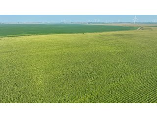 Property photo 66 - LAND AUCTION - 1103.8+/- ACRES OFFERED IN 14 TRACTS OR ANY COMBINATION IN KANKAKEE, FORD, & IROQUOIS COUNTIES, ILLINOIS (TRACTS RANGING FROM 40-167.9+/- ACRES)