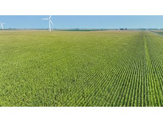 Property photo 6 - LAND AUCTION - 1103.8+/- ACRES OFFERED IN 14 TRACTS OR ANY COMBINATION IN KANKAKEE, FORD, & IROQUOIS COUNTIES, ILLINOIS (TRACTS RANGING FROM 40-167.9+/- ACRES)