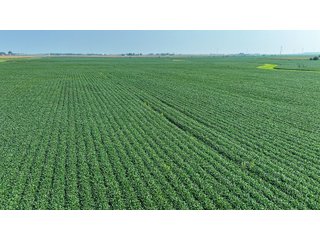 Property photo 23 - LAND AUCTION - 1103.8+/- ACRES OFFERED IN 14 TRACTS OR ANY COMBINATION IN KANKAKEE, FORD, & IROQUOIS COUNTIES, ILLINOIS (TRACTS RANGING FROM 40-167.9+/- ACRES)