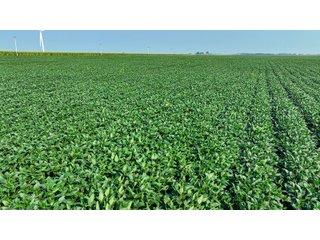 Property photo 25 - LAND AUCTION - 1103.8+/- ACRES OFFERED IN 14 TRACTS OR ANY COMBINATION IN KANKAKEE, FORD, & IROQUOIS COUNTIES, ILLINOIS (TRACTS RANGING FROM 40-167.9+/- ACRES)