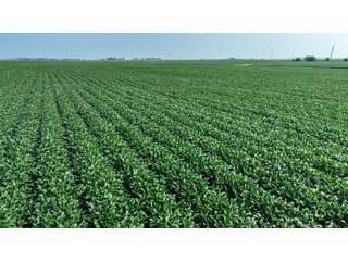 Property photo 28 - LAND AUCTION - 1103.8+/- ACRES OFFERED IN 14 TRACTS OR ANY COMBINATION IN KANKAKEE, FORD, & IROQUOIS COUNTIES, ILLINOIS (TRACTS RANGING FROM 40-167.9+/- ACRES)