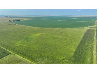 Property photo 67 - LAND AUCTION - 1103.8+/- ACRES OFFERED IN 14 TRACTS OR ANY COMBINATION IN KANKAKEE, FORD, & IROQUOIS COUNTIES, ILLINOIS (TRACTS RANGING FROM 40-167.9+/- ACRES)