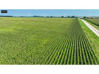 Property photo 115 - LAND AUCTION - 1103.8+/- ACRES OFFERED IN 14 TRACTS OR ANY COMBINATION IN KANKAKEE, FORD, & IROQUOIS COUNTIES, ILLINOIS (TRACTS RANGING FROM 40-167.9+/- ACRES)