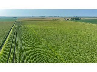 Property photo 68 - LAND AUCTION - 1103.8+/- ACRES OFFERED IN 14 TRACTS OR ANY COMBINATION IN KANKAKEE, FORD, & IROQUOIS COUNTIES, ILLINOIS (TRACTS RANGING FROM 40-167.9+/- ACRES)