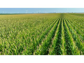 Property photo 69 - LAND AUCTION - 1103.8+/- ACRES OFFERED IN 14 TRACTS OR ANY COMBINATION IN KANKAKEE, FORD, & IROQUOIS COUNTIES, ILLINOIS (TRACTS RANGING FROM 40-167.9+/- ACRES)