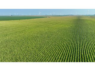 Property photo 70 - LAND AUCTION - 1103.8+/- ACRES OFFERED IN 14 TRACTS OR ANY COMBINATION IN KANKAKEE, FORD, & IROQUOIS COUNTIES, ILLINOIS (TRACTS RANGING FROM 40-167.9+/- ACRES)