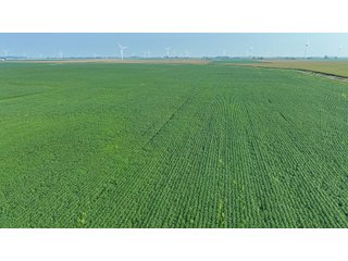 Property photo 55 - LAND AUCTION - 1103.8+/- ACRES OFFERED IN 14 TRACTS OR ANY COMBINATION IN KANKAKEE, FORD, & IROQUOIS COUNTIES, ILLINOIS (TRACTS RANGING FROM 40-167.9+/- ACRES)