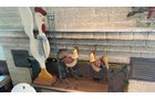 Property photo 242 - TIMED ONLINE ONLY PERSONAL PROPERTY AUCTION IN ALLEN COUNTY, INDIANA
