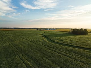 Property photo 3 - LAND AUCTION - 241.74+/- ACRES OFFERED IN 8 TRACTS IN WHITLEY COUNTY, INDIANA