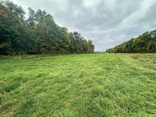 Property photo 13 - LAND AUCTION - 241.74+/- ACRES OFFERED IN 8 TRACTS IN WHITLEY COUNTY, INDIANA