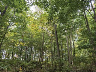 Property photo 15 - LAND AUCTION - 241.74+/- ACRES OFFERED IN 8 TRACTS IN WHITLEY COUNTY, INDIANA