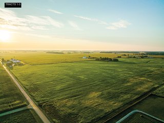 Property photo 4 - LAND AUCTION - 241.74+/- ACRES OFFERED IN 8 TRACTS IN WHITLEY COUNTY, INDIANA