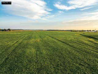 Property photo 5 - LAND AUCTION - 241.74+/- ACRES OFFERED IN 8 TRACTS IN WHITLEY COUNTY, INDIANA