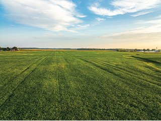 Property photo 8 - LAND AUCTION - 241.74+/- ACRES OFFERED IN 8 TRACTS IN WHITLEY COUNTY, INDIANA