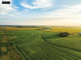 Property photo 6 - LAND AUCTION - 241.74+/- ACRES OFFERED IN 8 TRACTS IN WHITLEY COUNTY, INDIANA