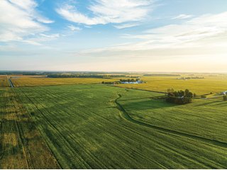 Property photo 9 - LAND AUCTION - 241.74+/- ACRES OFFERED IN 8 TRACTS IN WHITLEY COUNTY, INDIANA