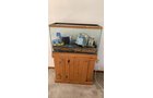 Property photo 43 - TIMED ONLINE ONLY PERSONAL PROPERTY AUCTION IN ALLEN COUNTY, INDIANA