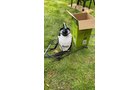 Property photo 254 - TIMED ONLINE ONLY PERSONAL PROPERTY AUCTION IN ALLEN COUNTY, INDIANA