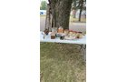 Property photo 117 - TIMED ONLINE ONLY PERSONAL PROPERTY AUCTION IN KOSCIUSKO COUNTY, INDIANA