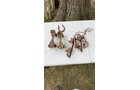 Property photo 119 - TIMED ONLINE ONLY PERSONAL PROPERTY AUCTION IN KOSCIUSKO COUNTY, INDIANA