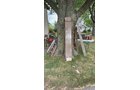 Property photo 128 - TIMED ONLINE ONLY PERSONAL PROPERTY AUCTION IN KOSCIUSKO COUNTY, INDIANA