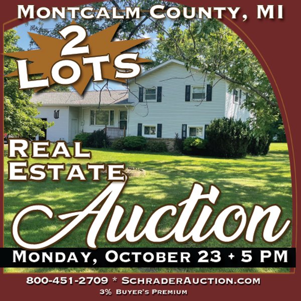 REAL ESTATE AUCTION - 2 LOTS IN MONTCALM COUNTY, MICHIGAN