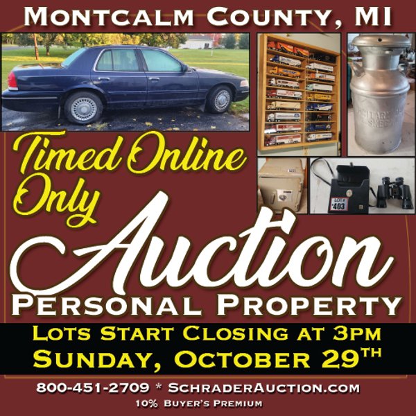 TIMED ONLINE ONLY PERSONAL AUCTION IN MONTCALM COUNTY, MICHIGAN