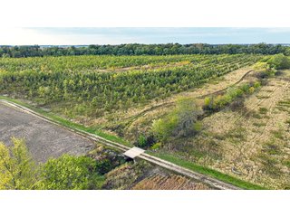Property photo 3 - REAL ESTATE AUCTION - 152+/- ACRES OFFERED IN 6 TRACTS IN ADAMS COUNTY, INDIANA