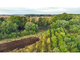 Property photo 5 - REAL ESTATE AUCTION - 152+/- ACRES OFFERED IN 6 TRACTS IN ADAMS COUNTY, INDIANA
